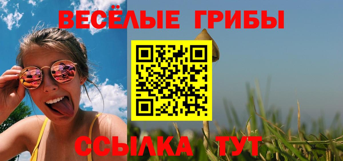 Псилоцибиновые грибы мицелий  Псилоцибиновые грибы мицелий  Геленджик  Вход с VPN 